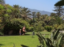 Der obere Bereich vom Playa Jardin ist mit Palmen, Blumen und Grasflächen bepflanzt.