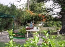 In Puerto lohnt sich auch ein Besuch im Orchideengarten Sitio Litre.