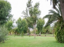 Der Taoro-Park in Puerto de la Cruz.