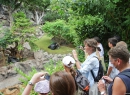 Kurz danach hechelt die Meute zum Gorilla-Gehege.