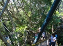 Aber im Jahr 2010 wurde alles wieder gut. Katandra Treetops wurde eröffnet
