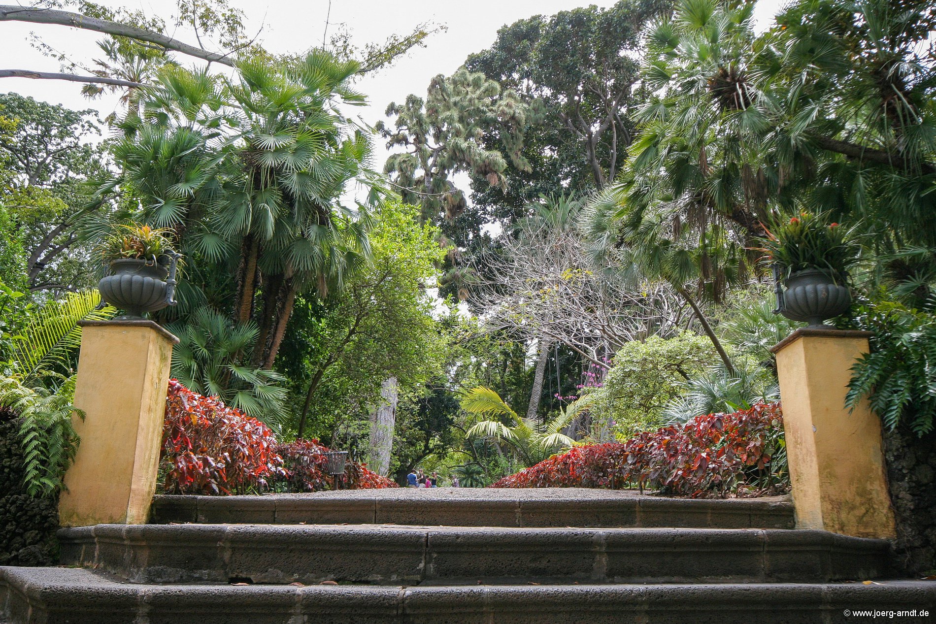 Der Botanische Garten von Puerto de la Cruz | Puerto de la Cruz entdecken