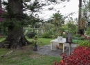 Bilder aus dem Garten Sitio Litre.