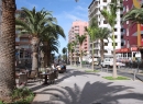 In der Nähe befindet sich die vor kurzem komplett neu gestaltete und verkehrsberuhigte Avenida Familia de Betancourt y Molina.