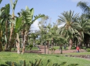 Der Taoro-Park in Puerto de la Cruz.