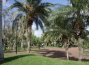 Der Taoro-Park in Puerto de la Cruz.