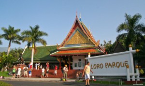 Der Eingangsbereich des Loro Parque ist einem Thai-Dorf nachempfunden.