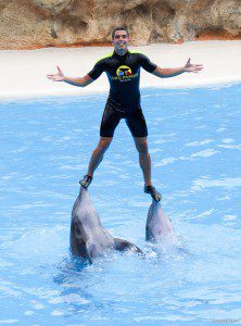 Bei den Shows im Delfinarium sind auch die Trainer mit im Wasser.