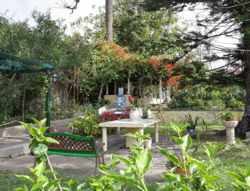 Sitio Litre: mehr als ein Orchideen-Garten