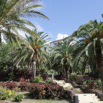 Der Taoro Park in Puerto de la Cruz.