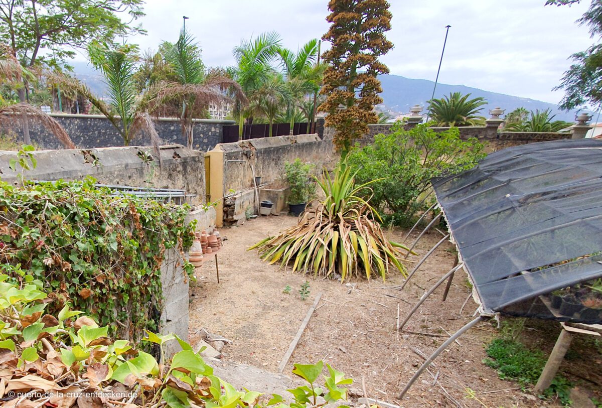 Der Botanische Garten von Puerto de la Cruz Puerto de la Cruz entdecken