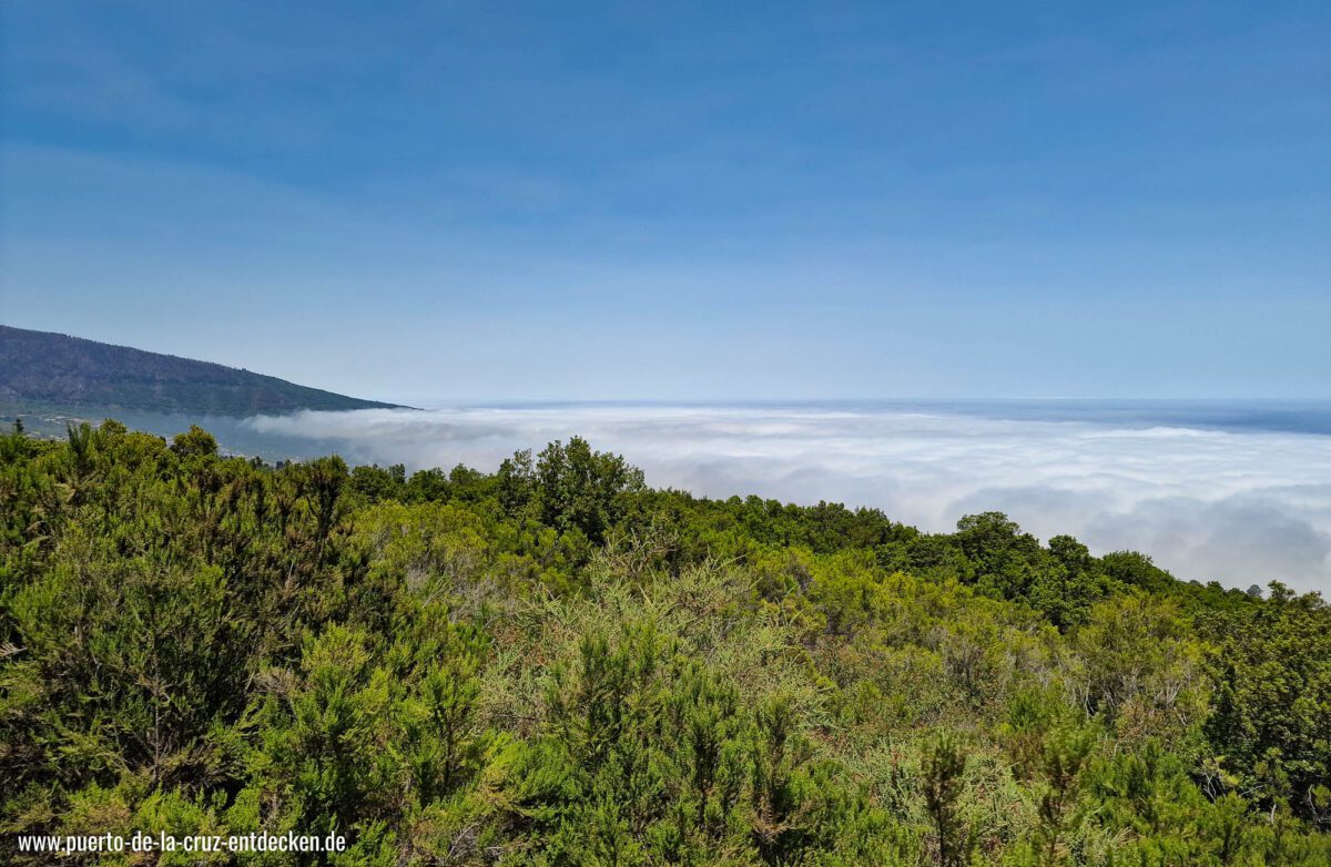 wettervorhersage puerto de la cruz teneriffa